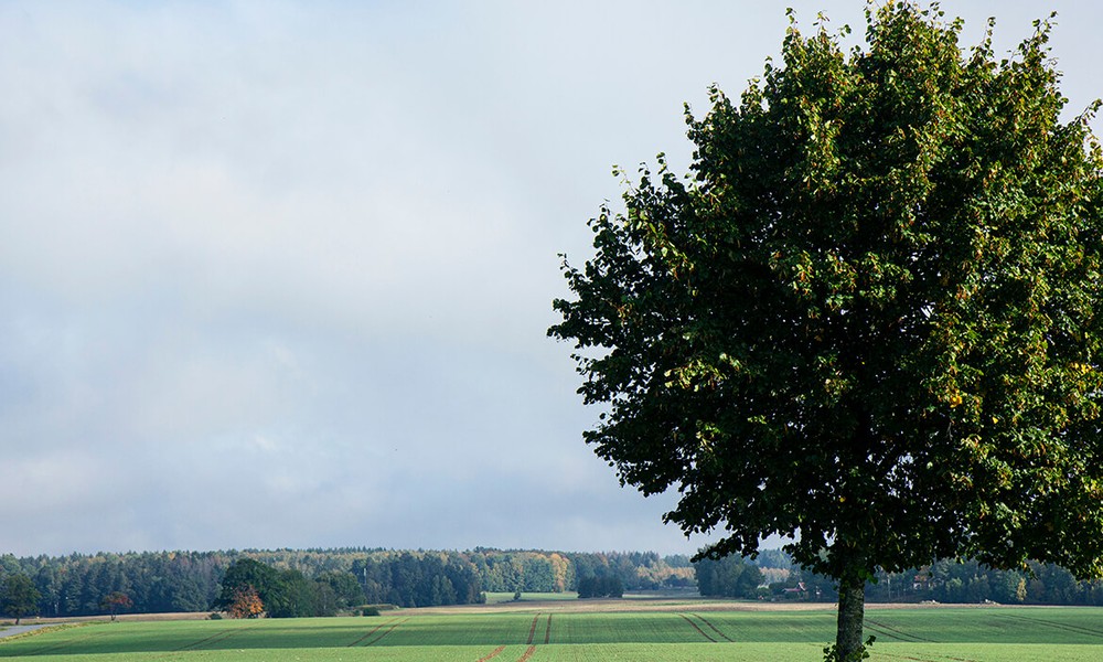 Vi arbetar för ett mer hållbart cirkulärt samhälle mellan stad, land och hav
